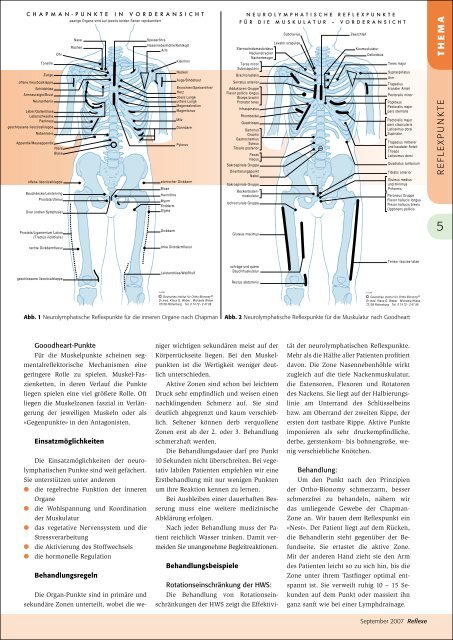 Reflexe Ausgabe September 2007 - vdms