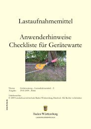 Lastaufnahmemittel - Hinweise & Checkliste für Gerätewarte (pdf ...