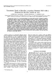 Taxonomic Study of Bacillus coagulans Hammer 1915 with a ...