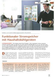 Artikel BWK 12/2012 - Forschungsstelle für Energiewirtschaft