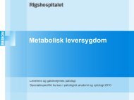 Metaboliske levertilstande