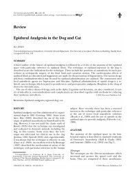 Epidural Analgesia in the Dog and Cat - Uesc