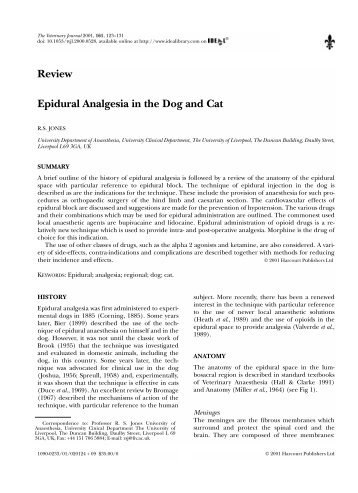 Epidural Analgesia in the Dog and Cat - Uesc