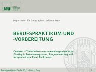 Berufsvorbereitung Marco Brey LMU - Department für Geographie