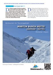 MARTIN BUSCH HÜTTE - Almenrausch