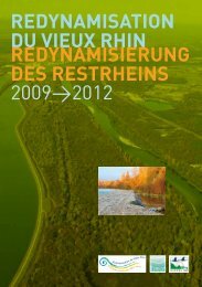 redynamisation du vieux rhin redynamisierung des ... - Région Alsace