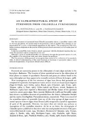 an ultrastructural study of pyrenoids from chlorella pyrenoidosa bl ...