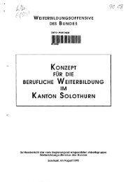 konzept berufliche weiterbildung fur die im kanton solothurn