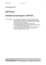 SAP Query - Prof Dr Dieter Steinmann FH Trier