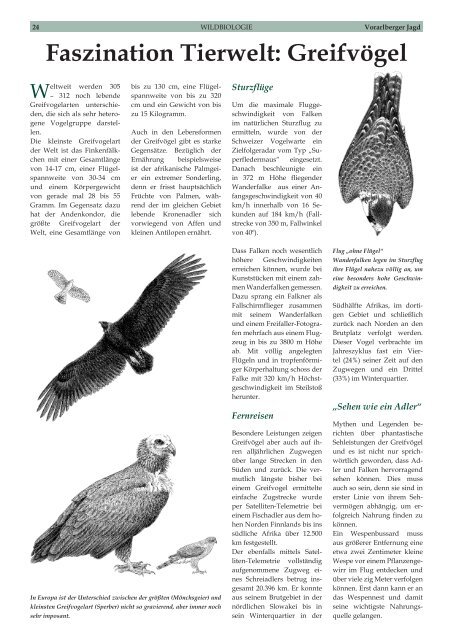 Faszination Tierwelt: Greifvögel