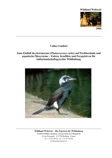 Zum Einfluß des Kormorans (Phalacrocorax ... - Wildland Weltweit