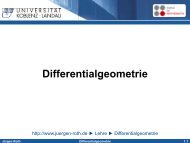 Differentialgeometrie - Didaktik der Mathematik (Sekundarstufen)