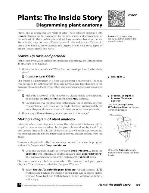 Plants: The Inside Story