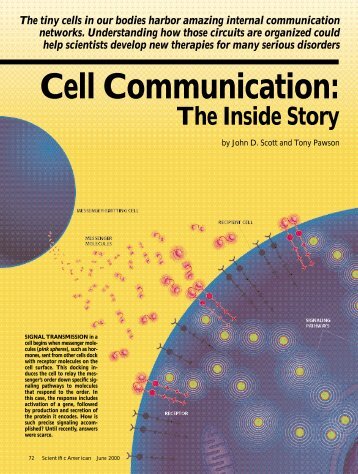 Cell Communication: The Inside Story