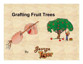 Grafting Fruit Trees - Jubilee101