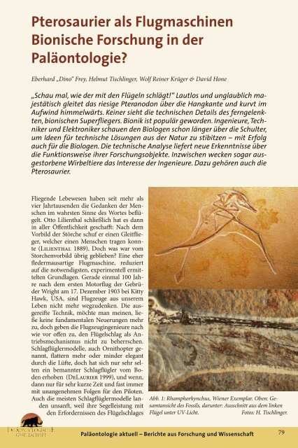 Download-PDF - Fossilien