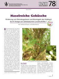 Haselreiche Gebüsche - Biologische Schutzgemeinschaft Hunte ...