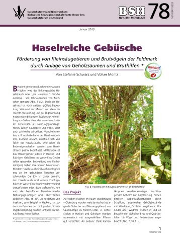 Haselreiche Gebüsche - Biologische Schutzgemeinschaft Hunte ...