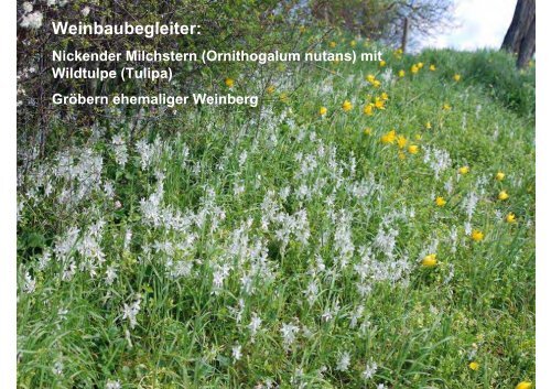 und Denkmalschutz = Heimatschutz - Landesamt für Archäologie