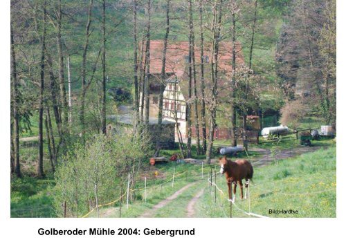 und Denkmalschutz = Heimatschutz - Landesamt für Archäologie