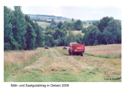 und Denkmalschutz = Heimatschutz - Landesamt für Archäologie