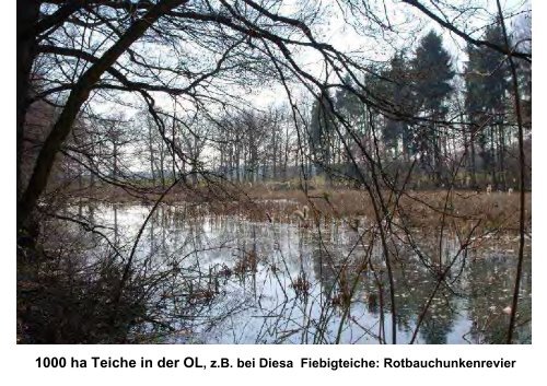 und Denkmalschutz = Heimatschutz - Landesamt für Archäologie