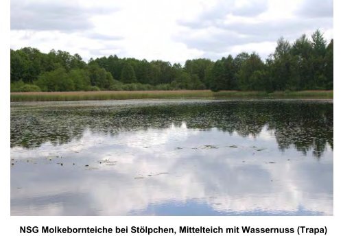 und Denkmalschutz = Heimatschutz - Landesamt für Archäologie