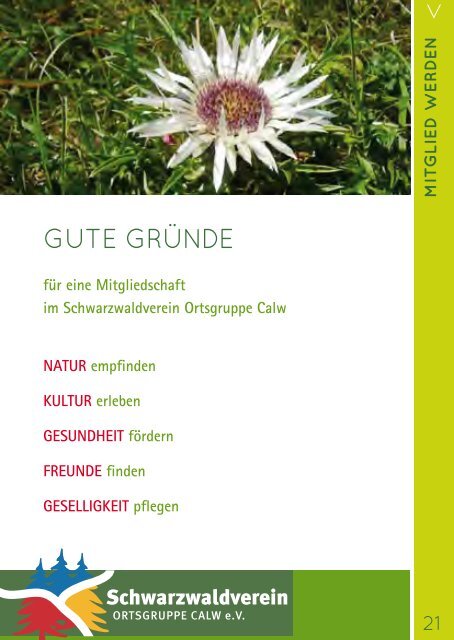 Wanderplan Schwarzwaldverein Calw (PDF)