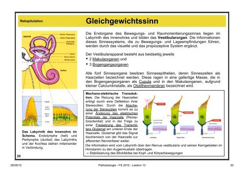 Pathobiologie/Pathobiochemie Teil 2 - Alex Eberle