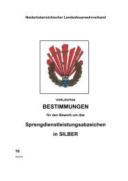 Bestimmungen Silber 2010 - SPRENGDIENST – NÖ