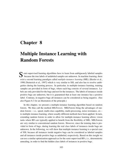 PhD Thesis Semi-Supervised Ensemble Methods for Computer Vision