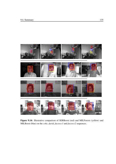 PhD Thesis Semi-Supervised Ensemble Methods for Computer Vision