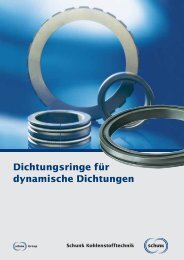 Dichtungsringe für dynamische Dichtungen (pdf)