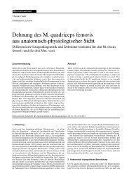 Dehnung des M. quadriceps femoris aus anatomisch ... - Wellwave.net