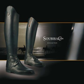 Technical details - Soubirac