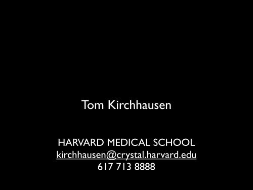 Tom Kirchhausen - CB201 - Harvard Medical School