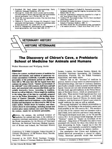 HISTOIRE VETtRINAIRE The Discovery of Chiron's Cave, a ...