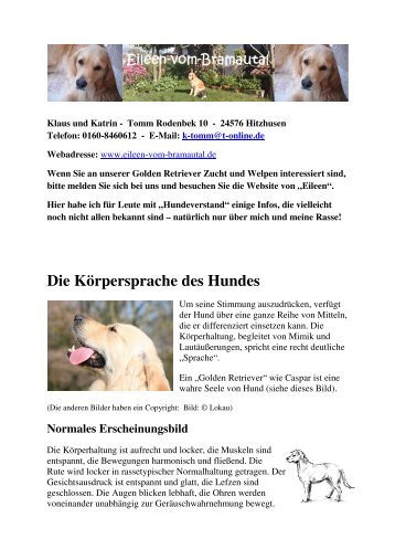 Die Körpersprache des Hundes - Eileen-vom-Bramautal Golden ...