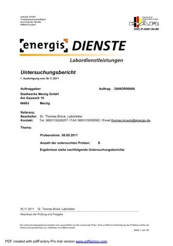 Untersuchungsbericht