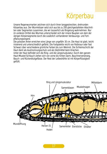 Teil 1 - Regenwurm.ch