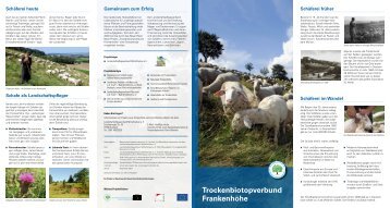 Faltblatt BNN-Projekt - Landschaftspflegeverband Mittelfranken