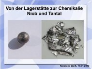 Von der Lagerstätte zur Chemikalie Niob und Tantal