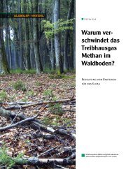 Warum verschwindet das Teibhausgas Methan im Waldboden?