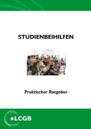 Praktischer Ratgeber: Studienbeihilfen - LCGB