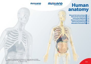 Human anatomy - Skolam.sk