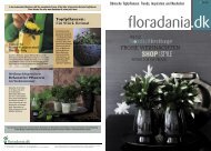 Floradania Magazin Nr. 52, 2008 Winter