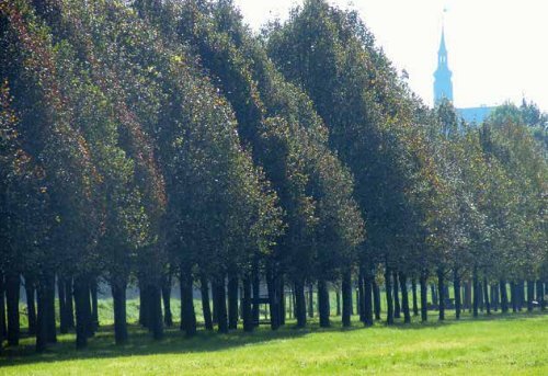 Neue Broschüre zur Baille Maille - Baille-Maille Himmelkron