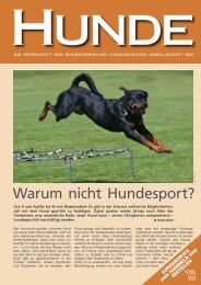 Warum nicht Hundesport? - SKG