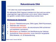 Rekombinante DNA