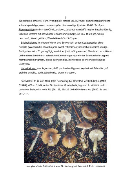 Höckerigsporige Inocybe (Cortinatae) in Thühringen